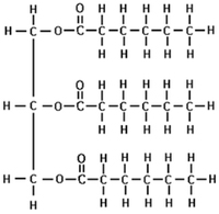 image showing how matter changes between solid, liquid and gas