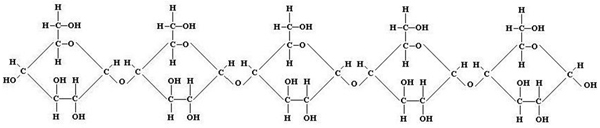 Image is of one of the 4 biomolecules. There are 5 molecules with a general circular shape joined together. Each molecule contains the elements Hydrogen, Carbon and Oxygen