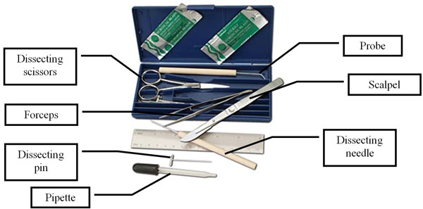 Image shows a dissection kit with the following equipment: Probe, scalpel, dissecting needle, dissecting scissors, forceps, dissecting pins and pipette.