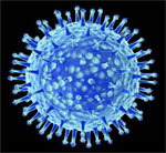 Image is of four different viruses taken with an electron microscope.