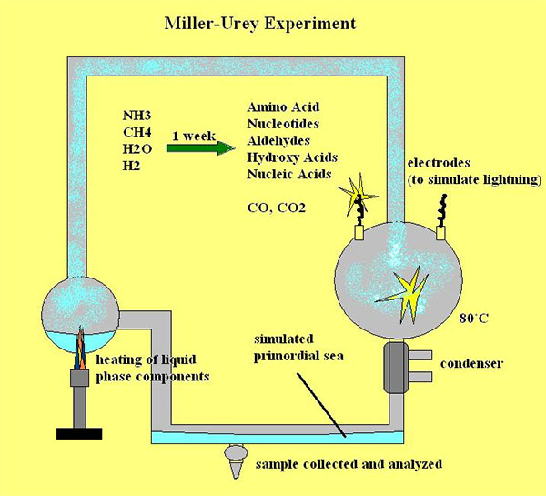 The Miller-Urey Experiment