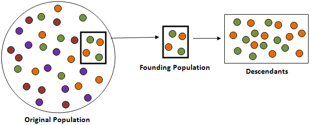 Image shows an equal distribution on 4 different colored dots. The second image shows 2 orange and 2 green breaking away from the original population. These are the founding population. The third image shows only green and orange dots and represents the descendants of the founding population which have a different gene frequency from the original population.