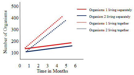 Graph showing number of organisms when the two organisms live together and separately. In this graph when they live together both increase in numbers.