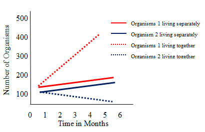 Graph showing number of organisms when the two organisms live together and separately. In this graph when they live together organism one increase and organisms 2 decreases.