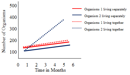 Graph showing number of organisms when the two organisms live together and separately. In this graph when they live together organism one stays the same and organisms 2 increases.