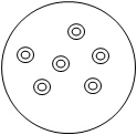 petri dish with 6 round spots
