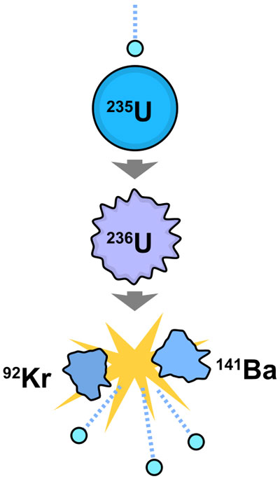 Graphic of a neutron splitting a U 235 atom into Kr 92 and Ba 141 and isolated neutrons.