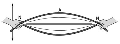 This Image shows a rope forming a wave with one antinode and two nodes