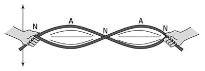 This image shows a rope forming a wave with two antinodes and three nodes
