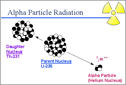 U 235 nucleus loses an alpha particle of 2 neutrons and 2 protons to become Th 231