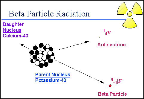 parent nucleus of potassium 40 emitting a beta particle and antineutrino. The result is Calcium 40