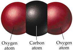 carbon dioxide molecule