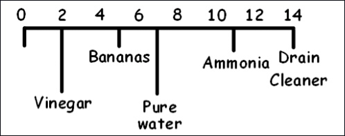 household items on a pH scale