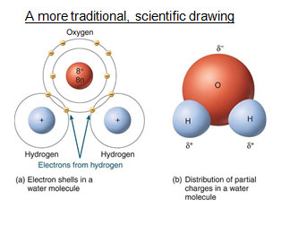 Shows a scientific model of a water molecule