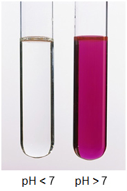 fluid with pH < 8 and fluid with pH /> 8