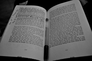 photo of two pages of text that contain notations 