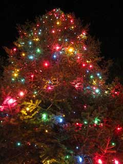 A photograph of a decorated Christmas tree with a star on top
