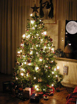 A photograph of a decorated and lit Christmas tree in a living room