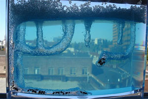 A photograph of an Ant Farm. It is made of clear plastic so the ants can be observed as they work.