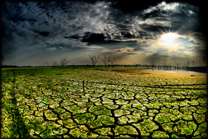 view of dry, cracked lake bed dotted by small patches of green, the sun shining through clouds onto a small pool of water in the distance