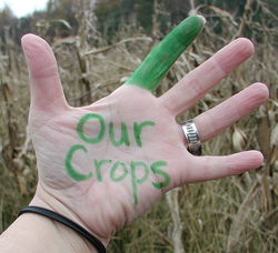 a person’s palm outstretched, the words ‘Our Crops’ written in green with the index finger colored in green; the other fingers remain uncolored; dry, tall plants provide the backdrop for the hand