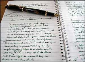 A photograph of a fountain pen lying on an open spiral notebook. The lined pages are filled with handwritten paragraphs.