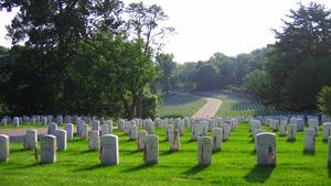 A photograph of rows of gravestones in Arlington, National Cemetary