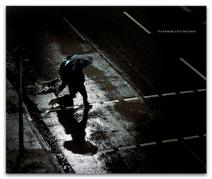 A photograph of people, sharing an umbrella, walking their dog in the rain.