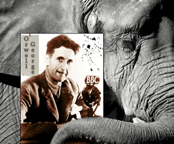 An image of George Orwell at the British Broadcasting Company studios. A photo of an elephant is behind his image, its trunk wrapped around Orwell’s photograph.