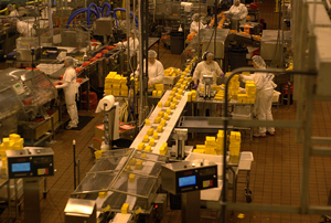 A photograph of an industrial assembly line that shows people in protective garments handling small boxes