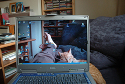 A laptop held on the photographer’s lap. The photographer’s legs are stretched out, and a cat is resting behind the laptop—the laptop’s screen is like a transparent window, the rest of the room visible through it. 