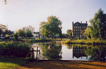 Photo of a pond