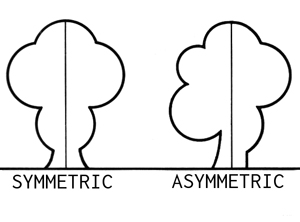 A set of pictures comparing a symmetric image with an asymmetric image