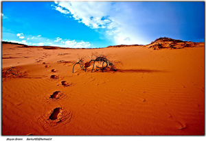 A photograph of footprints in sand in a desert