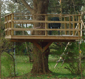A photograph of a tree house. It is a platform with a hand rail going all of the way around it. It is accessed by a rope ladder.