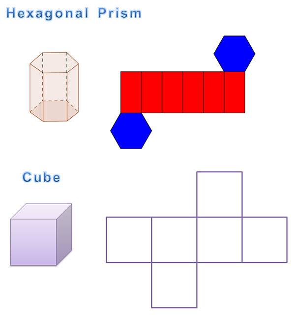 hexagonal prism with a net