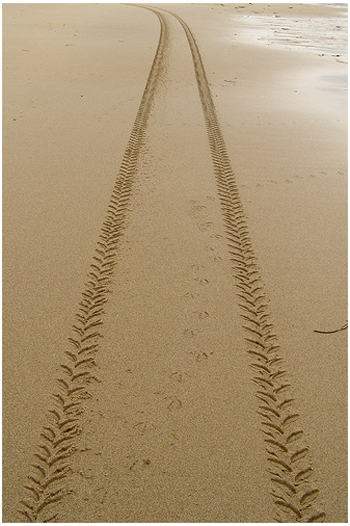 photo of tire tracks in beach sand