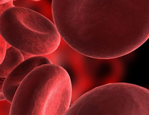 Red blood cells