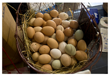 Image shows a basket of eggs.