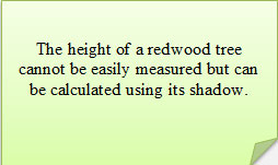 The height of a redwood tree cannot be easily measured, but can be calculated using its shadow.