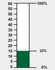 percent bar filled to show that 15 is 25% of 60