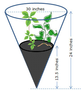 cone-shaped terrarium with dimensions labeled