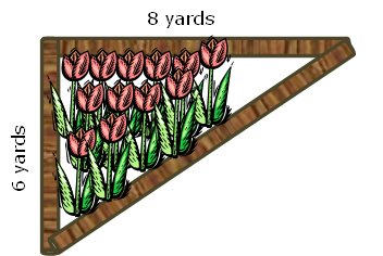 garden in the shape of a right triangle with a length of 8 yards and a width of 6 yards