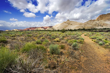 picture of prairie and mountains