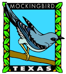picture of a mockingbird
