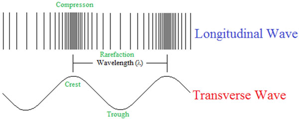 longitudinal and transverse waves