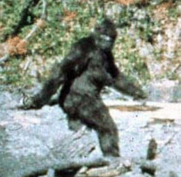 The image is of a picture taken in 1967 of a supposed bigfoot or sasquatch.