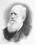 Black and white photo of Charles Darwin.