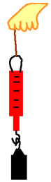 Image shows a spring scale with a weight on the hook