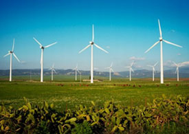 image of windmills